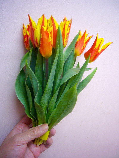 ファイヤーワークス