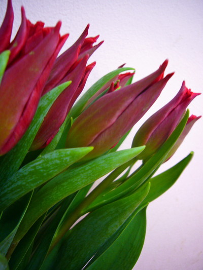 プリティウーマン