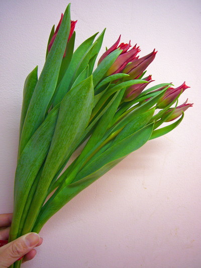 プリティウーマン