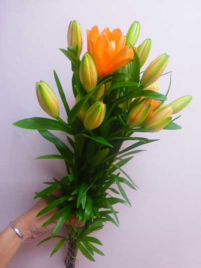 タイニーダブルユー