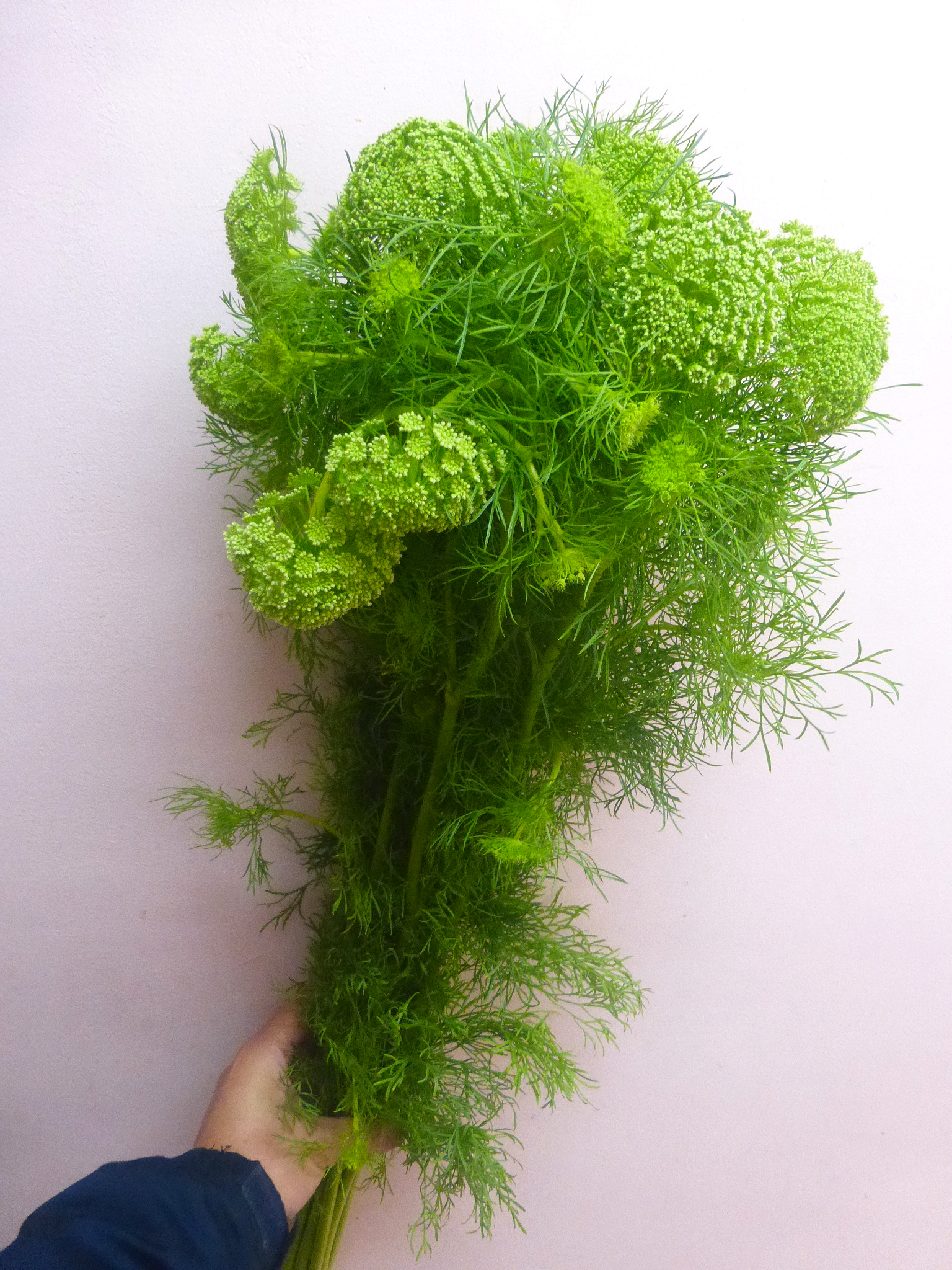 グリーンミスト